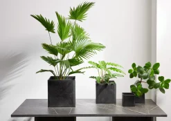 übertopf, black iron