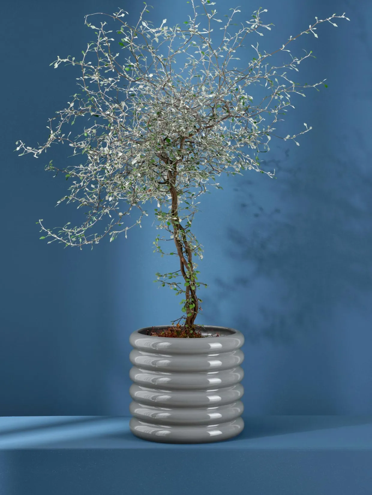 übertopf, cool gray