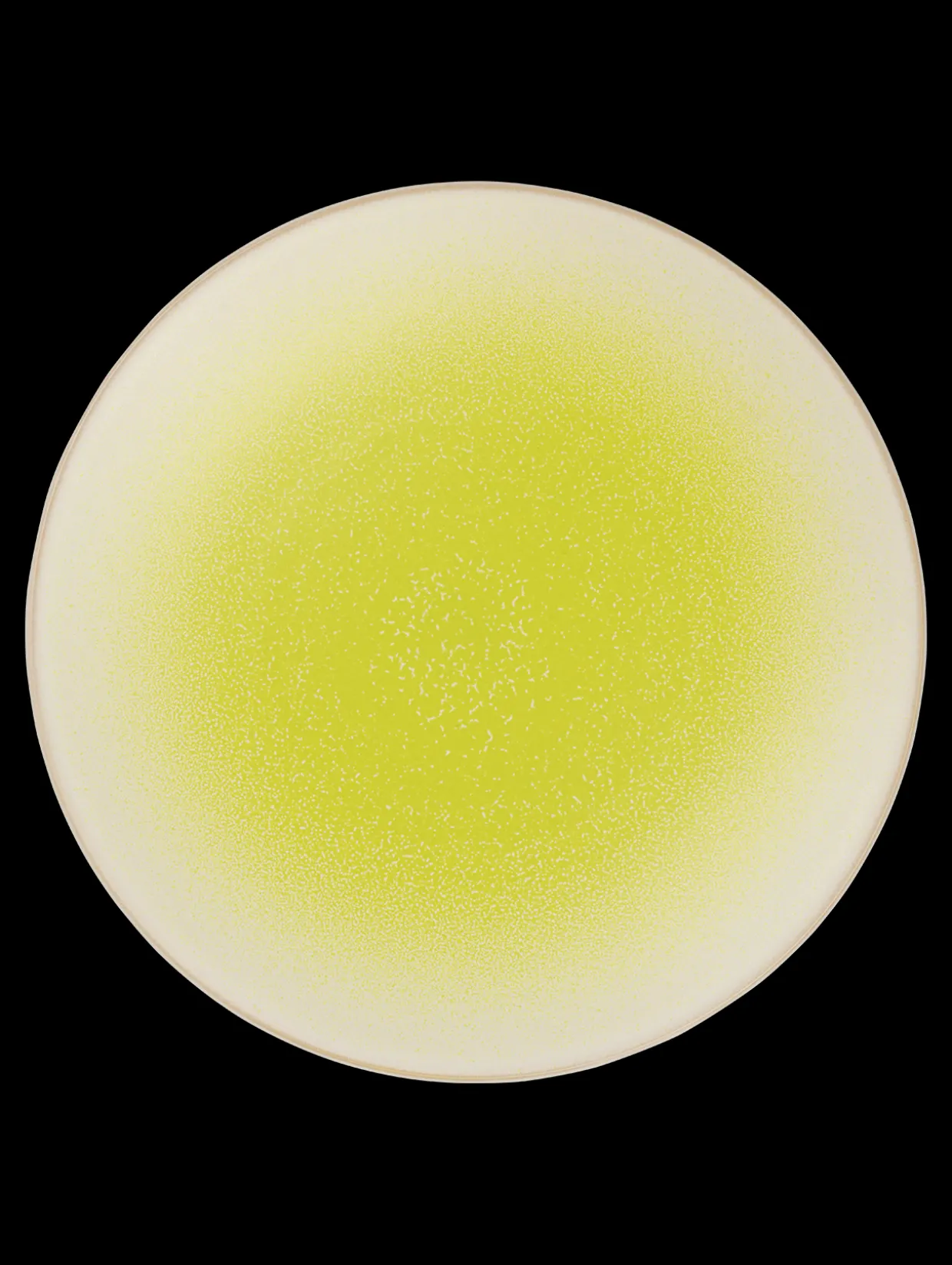 essteller koi by tim raue