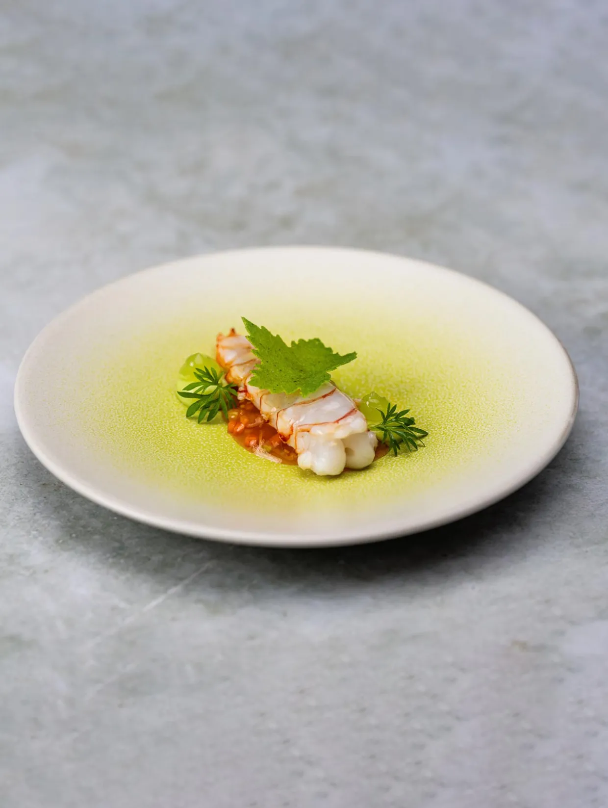 essteller koi by tim raue