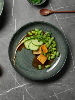 poké fusion plate, ocean