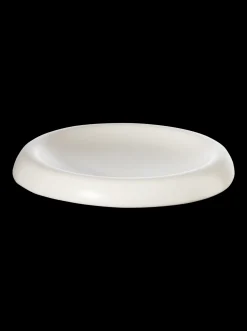 schale, silver birch