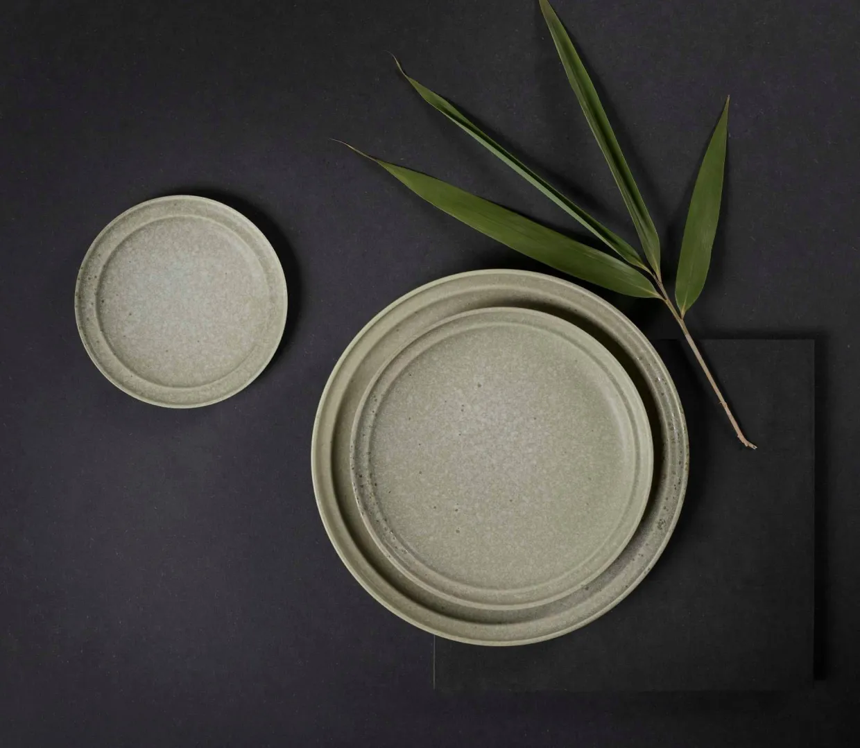 starterset nesuto bonsai 18-teilig