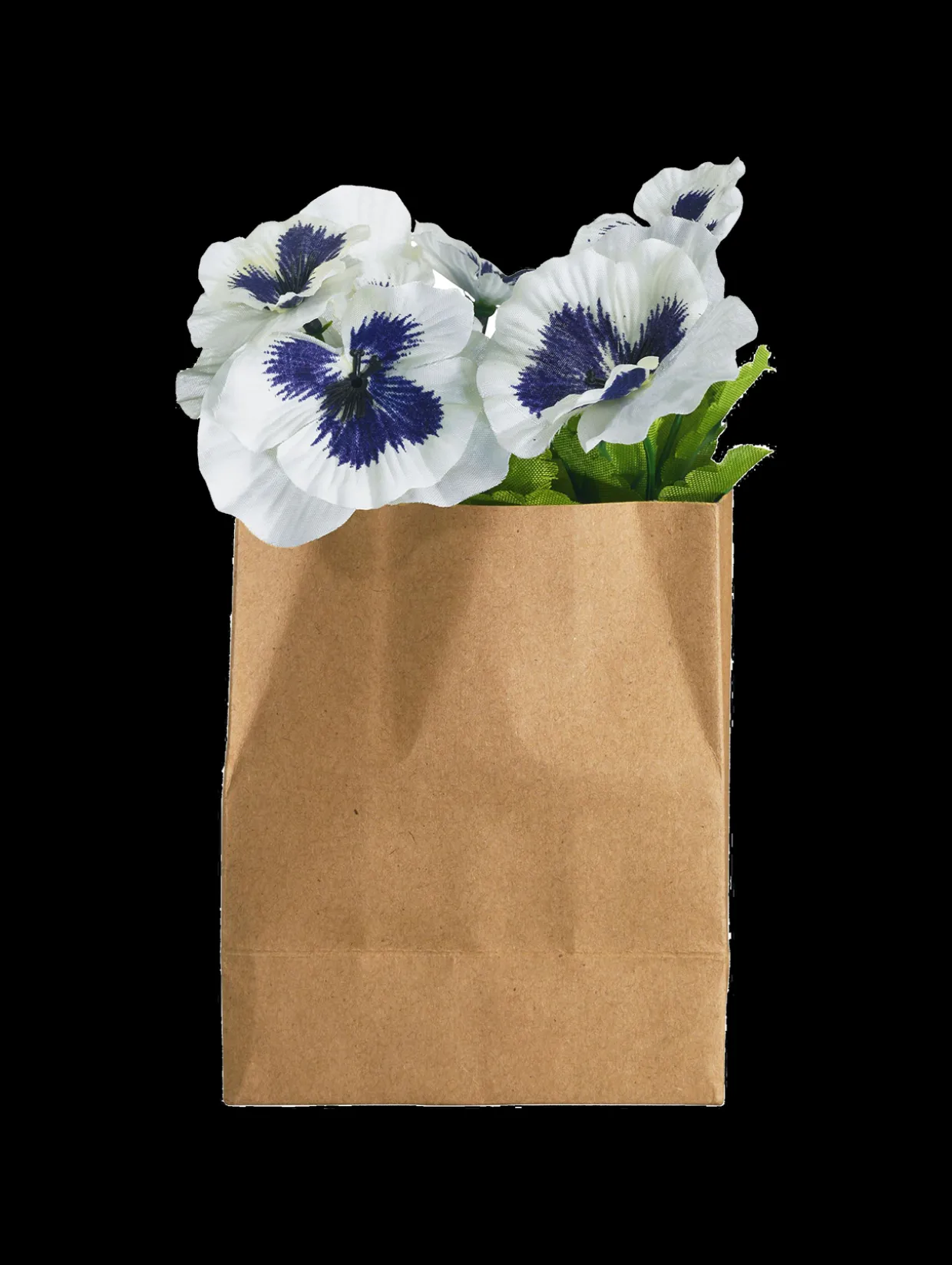 stiefmütterchen in papier