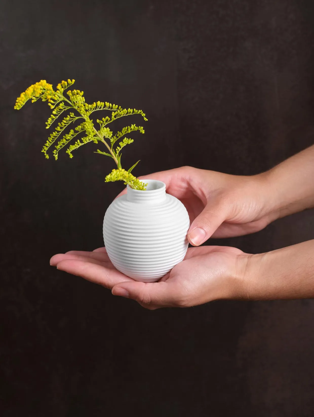 vase, japandi mini
